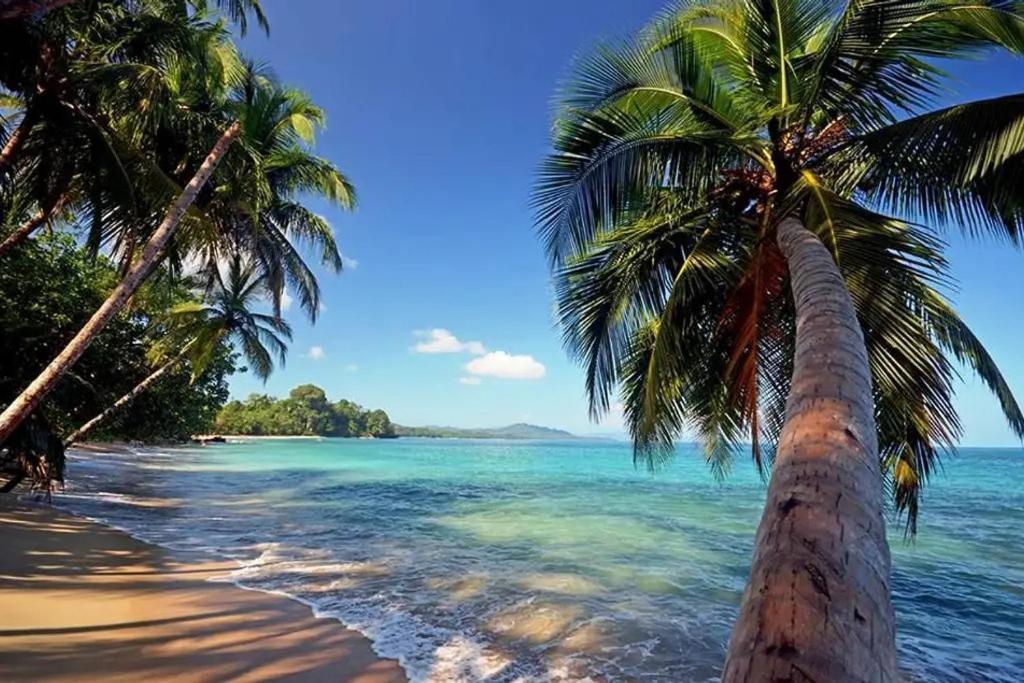 Aparthotel Roca Mar Rocawelch Puerto Viejo Puerto Viejo de Talamanca Zewnętrze zdjęcie